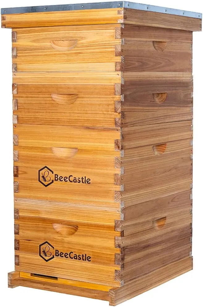BeeCastle 10 Frame Langstroth Bee Hive Coated with 100% Beeswax Includes Beehive Frames and Waxed Foundations (2 Deep Boxes & 2 Medium Boxes)