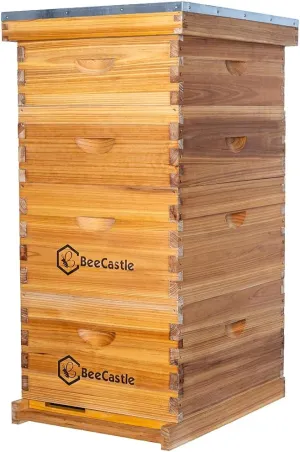 BeeCastle 10 Frame Langstroth Bee Hive Coated with 100% Beeswax Includes Beehive Frames and Waxed Foundations (2 Deep Boxes & 2 Medium Boxes)