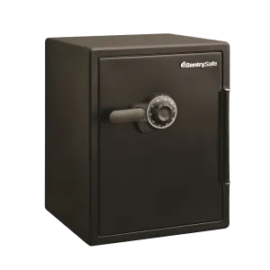 Combination Fire/Water Safe SFW205CWB