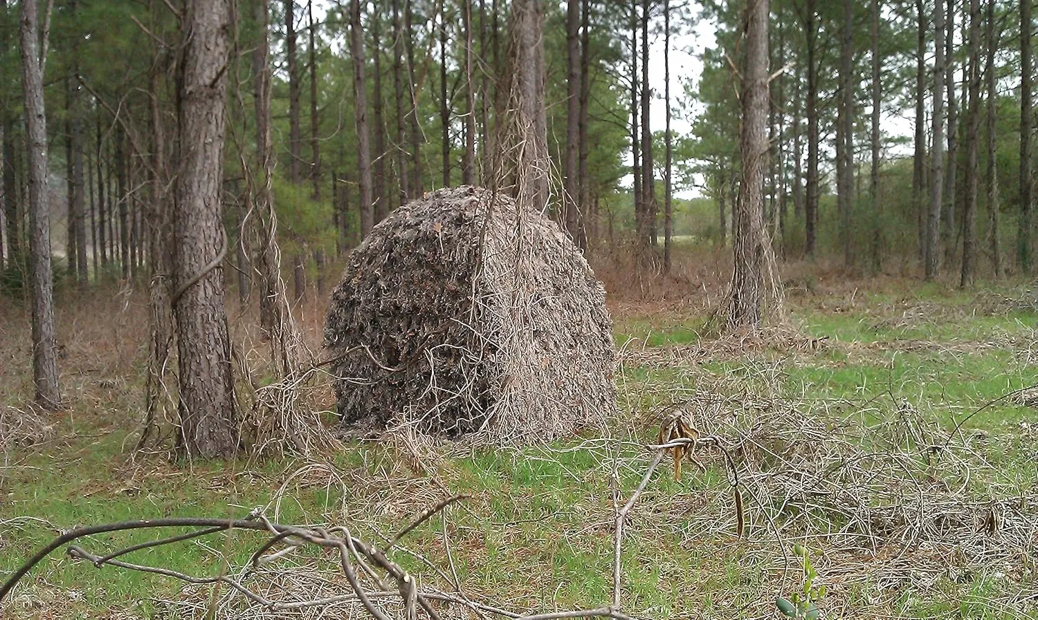 Ghillie Ground Blind Cover, Large to Cover a Ground Blind or Tent