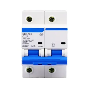 NXB-125 2P 63A 80A 100A 125A 220V 230V 50HZ Miniature Circuit Breaker MCB New DZ47(80A)