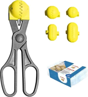 Pack - Multi-Function Shovel, Yellow - 4 Interchangeable Moulds for Mass   Pack of 20 Preserving Trays - 100% Spanish: Patented and Made in Spain