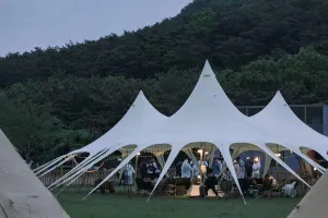 Portable Canopy for Comfort and Protection, Waterproof Tarp for Outdoor Adventures, Camping and Picnics, 289㎡ Space