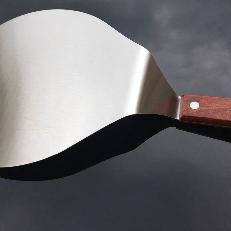 Stainless steel transfer shovel